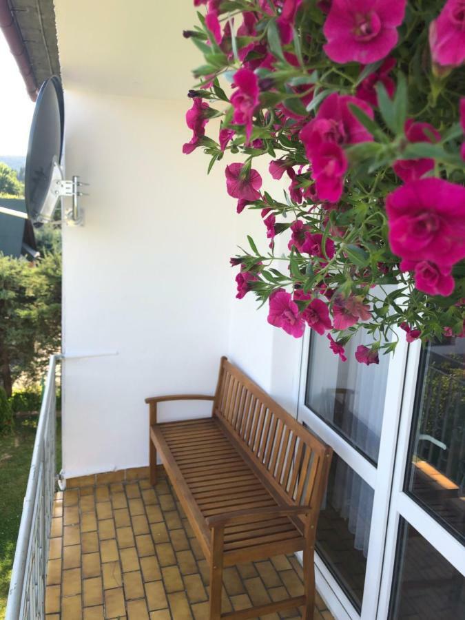 Apartament U Gogoca Tylicz Kültér fotó